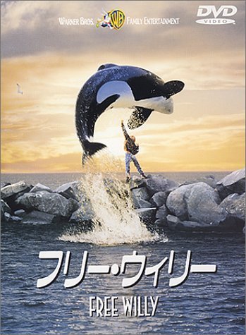 クジラやホオジロザメ、シャチなど海の大きな生き物が好きな人