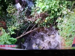 川で子ども発見 行方不明の女児か 長野・小谷村付近