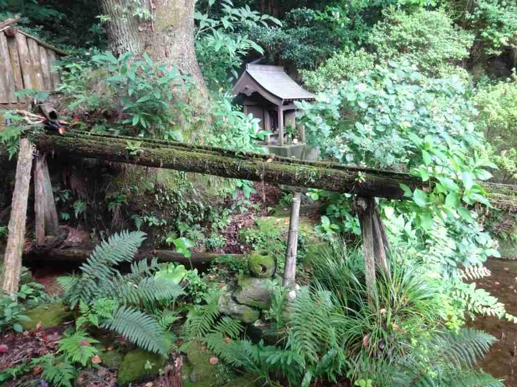 日本の夏らしい画像を貼るトピ