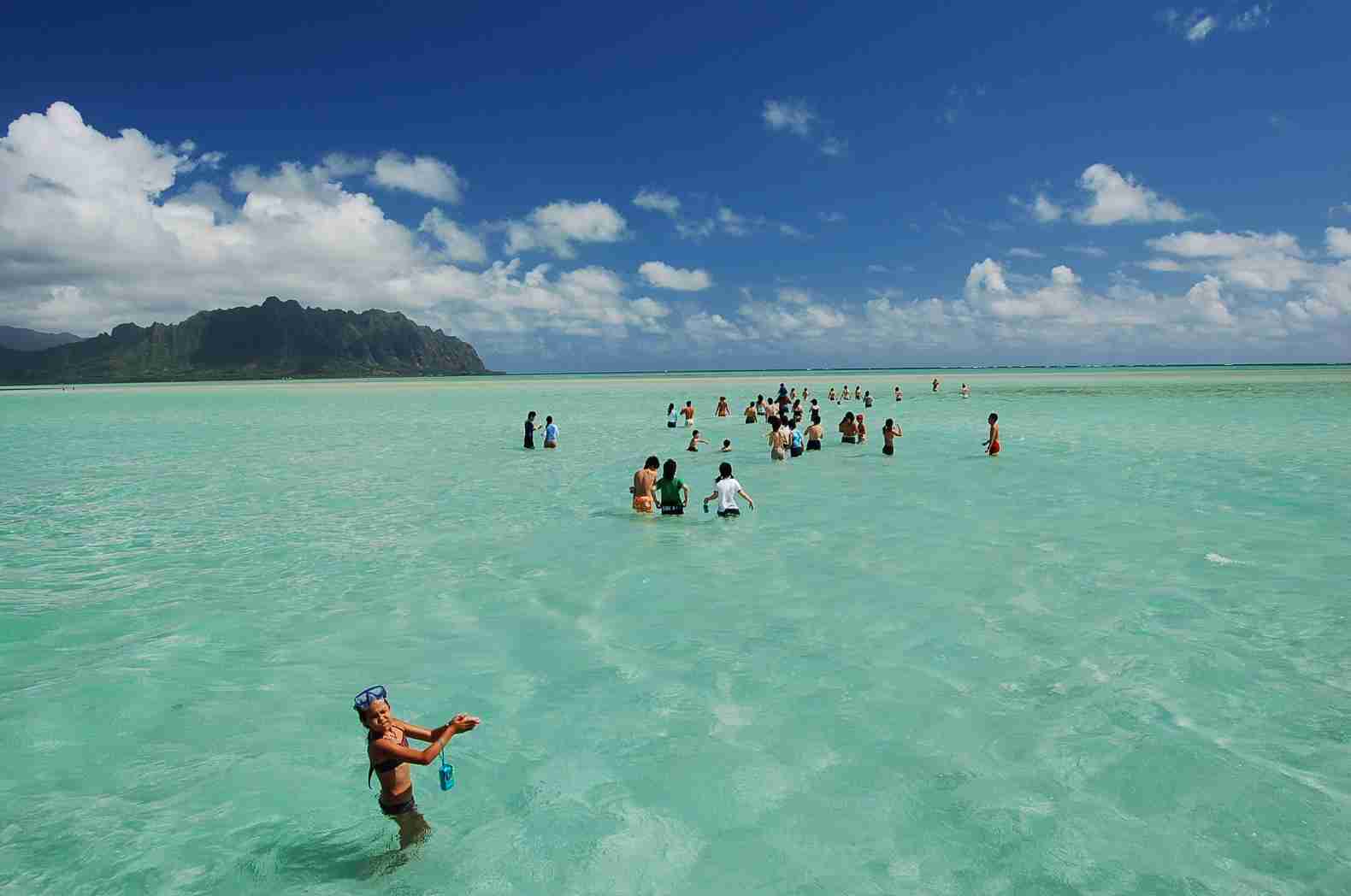 ハワイ旅行オススメ