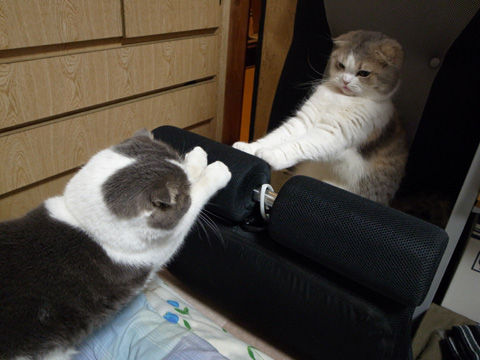 ほっこりした出来事