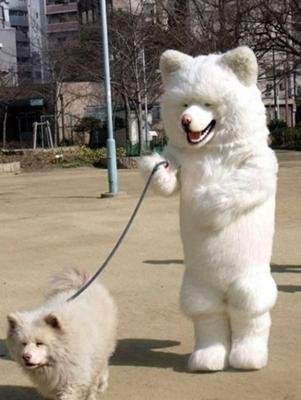 ウォーキングで痩せた方！