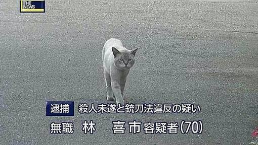 矛盾してる画像