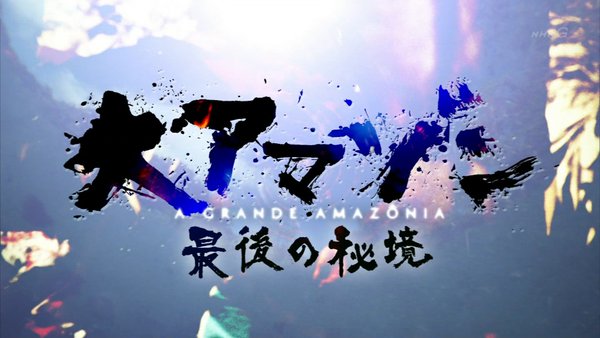 【熱帯雨林】アマゾンの話をするのが好きな人