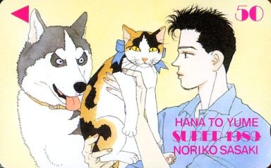 大学生が主人公の少女漫画