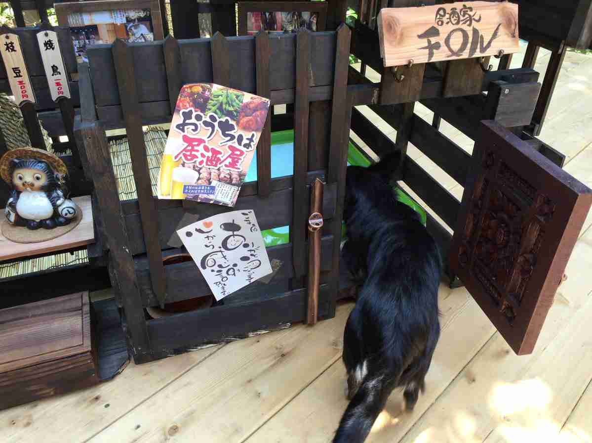 100均で犬小屋を改造→クオリティが高すぎるｗｗ