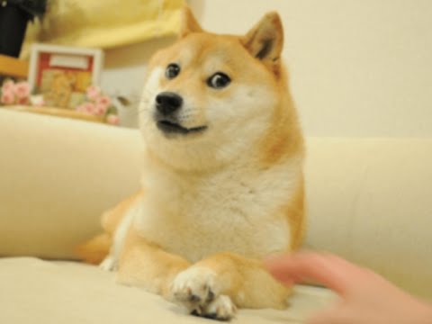 ガルちゃん民が主役のポケットモンスターがあったら
