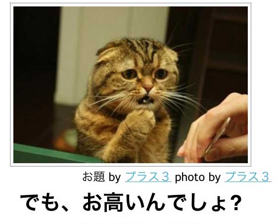 インスタで人気!食べるだけでキレイになれる美容食
