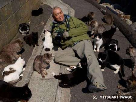 【画像】可愛い動物が溜まりに溜まるトピ