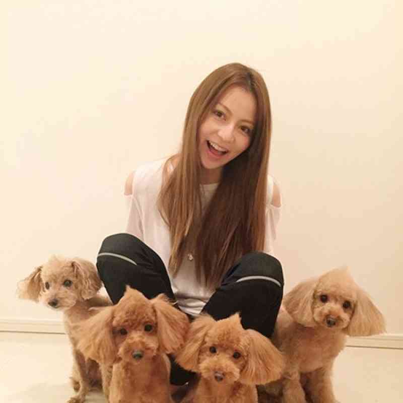 開店休業中の香里奈、ファッションショー出演決定も「おばさん扱い」されるだけ？