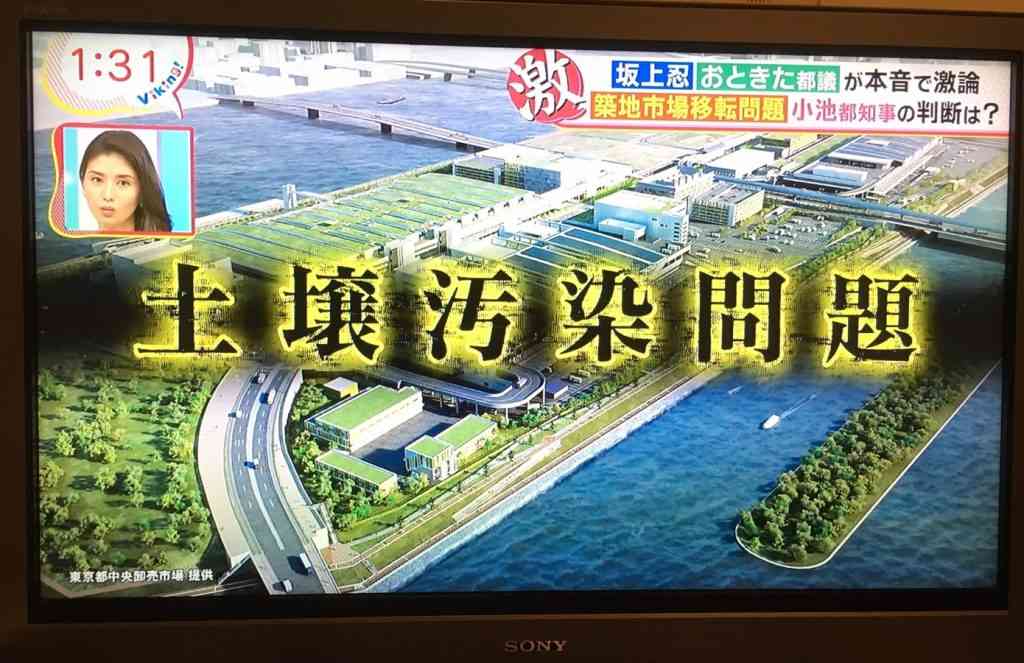 築地市場の豊洲移転に賛成した都議会議員たちは、今こそもっと情報発信をして責任を果たすべき | 東京都議会議員 おときた駿 公式サイト