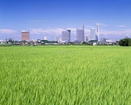 埼玉のいいところを紹介するトピ