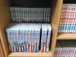 本や漫画の収納ってどんな感じ？