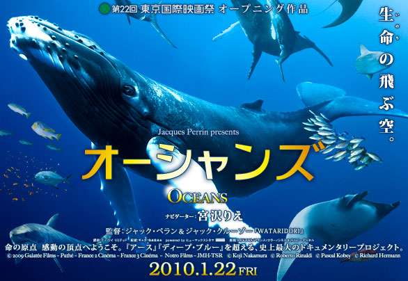 クジラやホオジロザメ、シャチなど海の大きな生き物が好きな人
