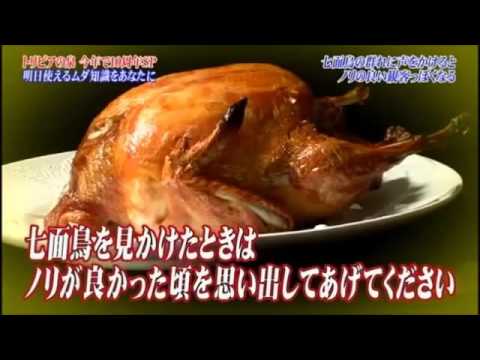 トリビアの泉　七面鳥の群れに声をかけるとノリのいい観客っぽくなる - YouTube