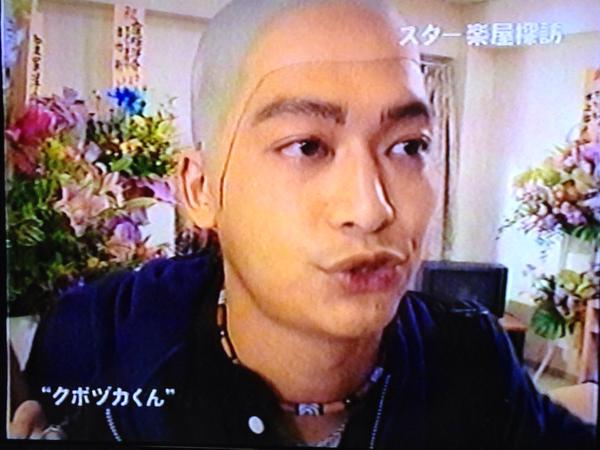 もっとテレビに出て欲しい芸能人