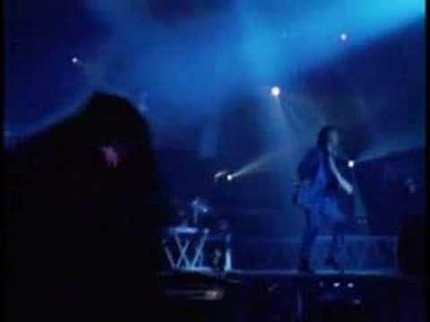 WE LOVE THE EARTH - YouTube