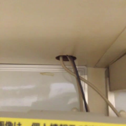 Watch そめやねん♪'s Vine 