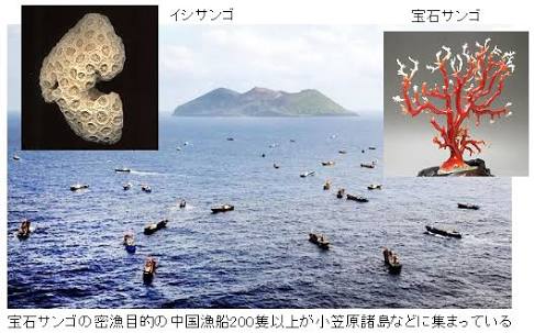「のび太」に似てる？ 射撃に出場した五輪選手が話題