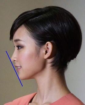 好き嫌い分かれる顔だなと思う芸能人