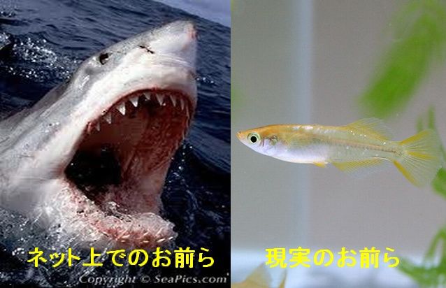 もしもガルちゃんメンバーで朝まで生テレビをやったらタイトルは？（政治以外で）