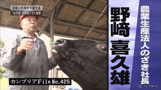 柴咲コウ、「和牛王」とスピード破局  報道直後に柴咲から切り出す