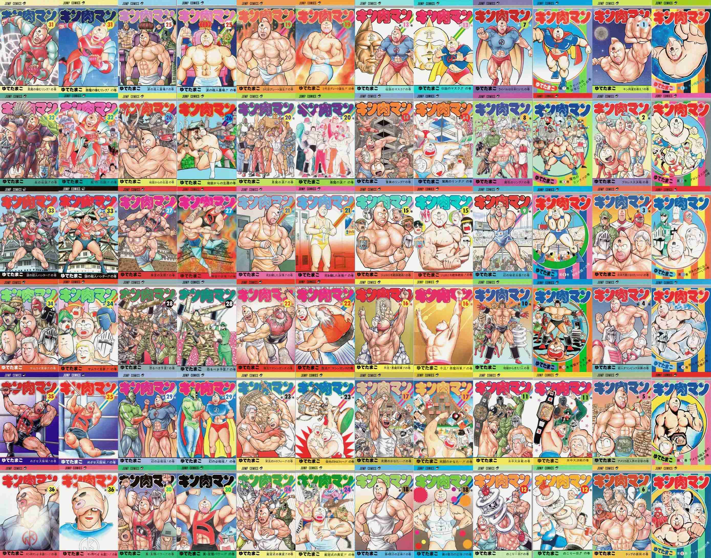本や漫画の収納ってどんな感じ？