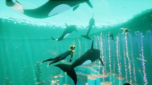 クジラやホオジロザメ、シャチなど海の大きな生き物が好きな人