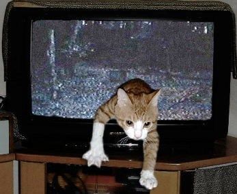 お盆時期の不思議体験