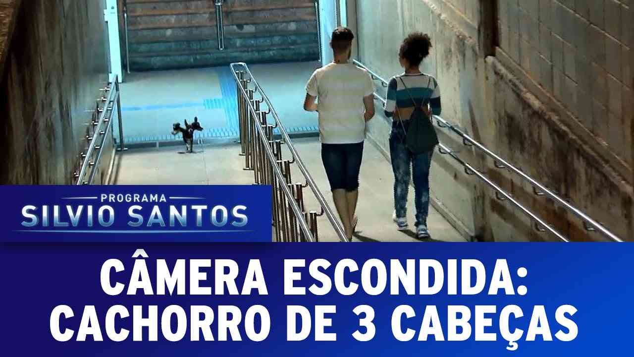 Câmera Escondida (03/07/16) - Cachorro de Três Cabeças (Cerberus Prank) - YouTube