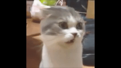 忘れない匂い