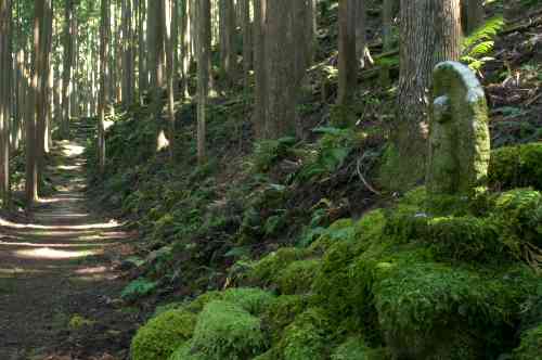世界遺産を貼っていくトピ