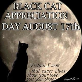 8月17日は「黒ネコ感謝の日」！