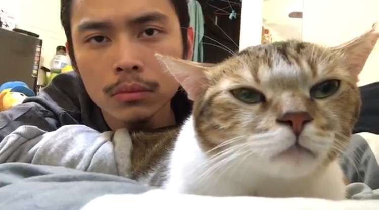 飼い主と一緒にノリノリで音楽を楽しむ賢い猫 – ねこナビ