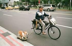 よく見たらおかしい画像トピ