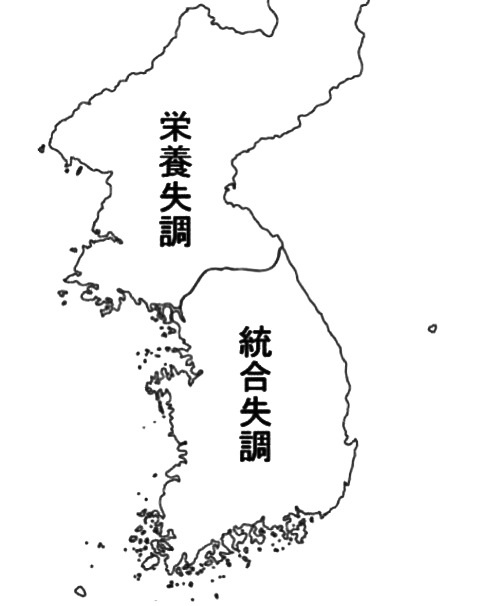 キム・ヨナが日本の芸能界デビューを狙って大整形手術