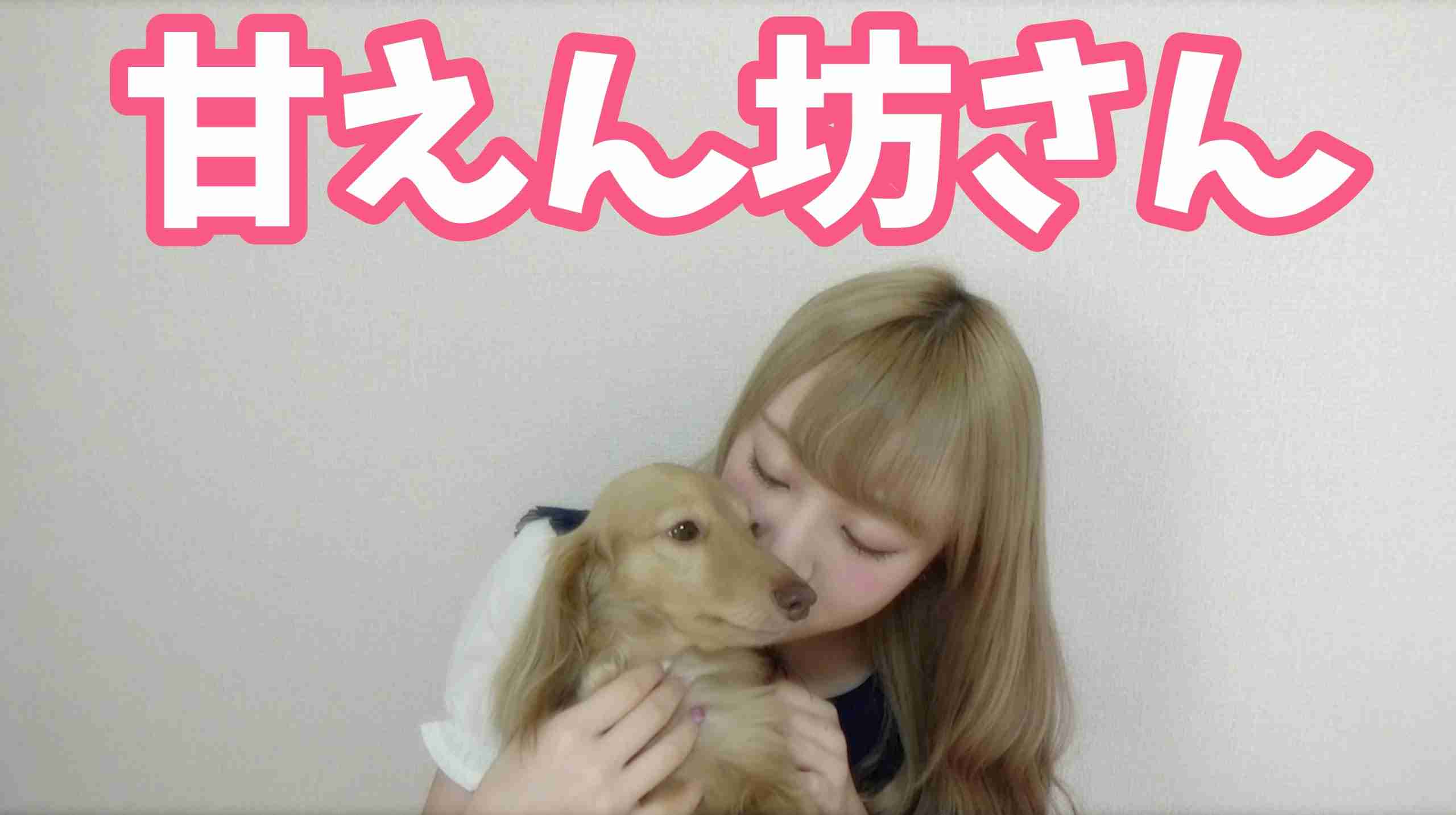 ノアたん、今日はいつもより甘えん坊なの。 - YouTube