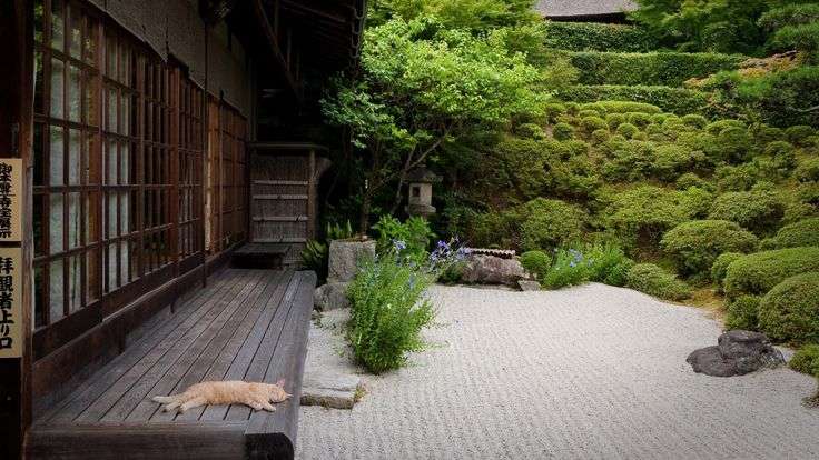 日本の夏らしい画像を貼るトピ