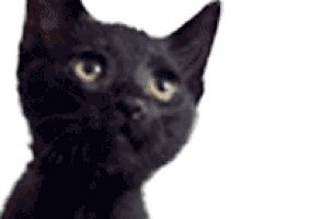 あの…登坂さん… [GIFMAGAZINE]