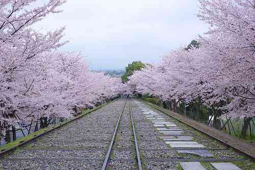夏の終わりのオススメ京都