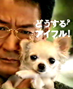 2000年代（2000年～2009年）に流行ったもの