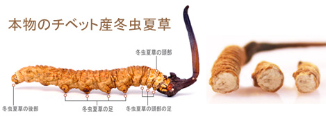 自分の中では否定的な物や事