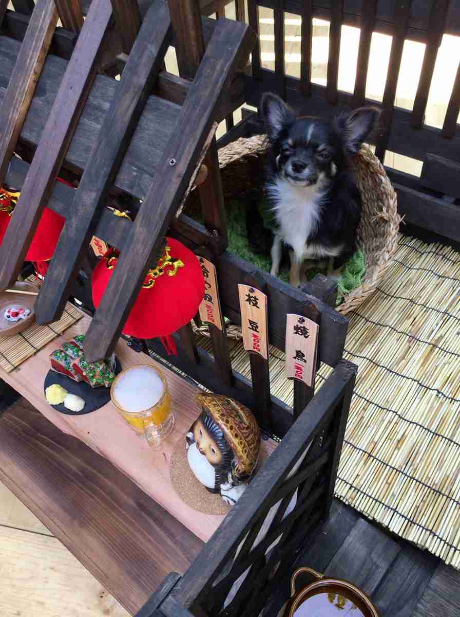 100均で犬小屋を改造→クオリティが高すぎるｗｗ