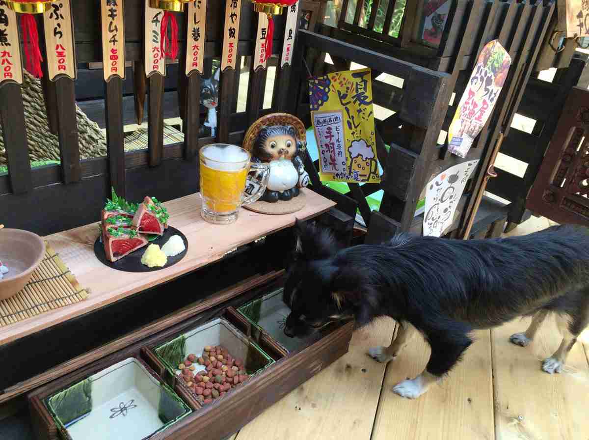 100均で犬小屋を改造→クオリティが高すぎるｗｗ