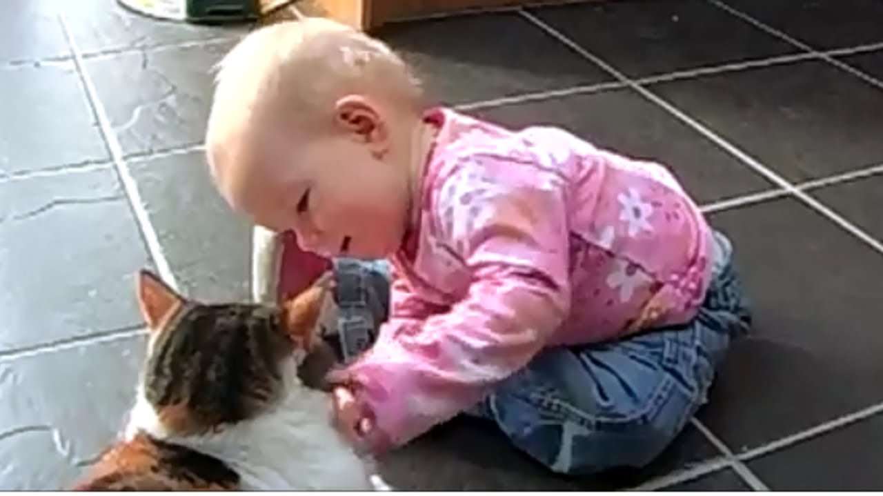 【可愛い】猫に話しかける赤ちゃん 動画 まとめ。可愛くって癒されます。 - YouTube