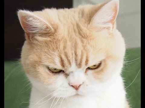 二度と誘わないと思った出来事