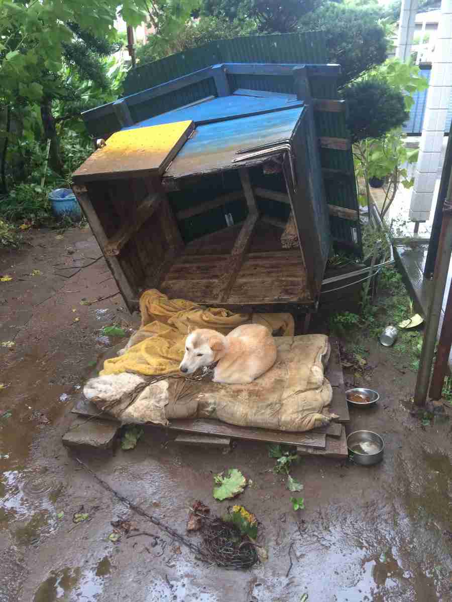 お住まいの地域の台風状況