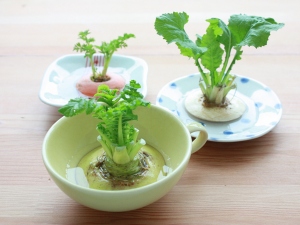 一人暮らしの節約術