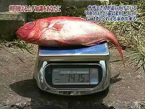 トリビアの種「サザエさんが追いかけている『お魚くわえたどら猫』は最大？？？kgの？？？までくわえる事が出来る」 - YouTube