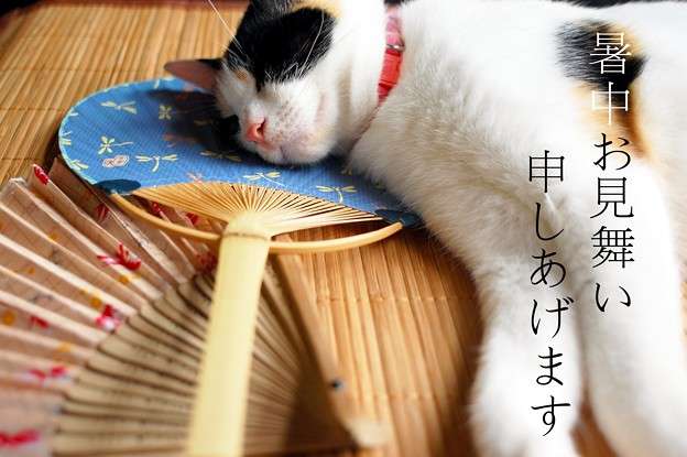日本の夏らしい画像を貼るトピ
